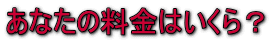 Ȃ̗͂H